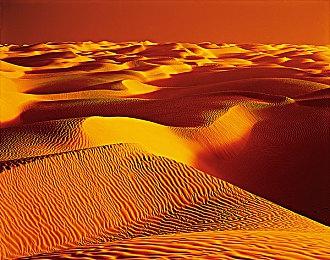 业内人士称：任天堂Switch继任者或面临向后兼容问题